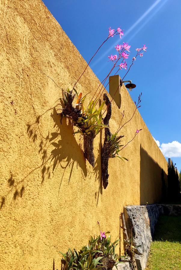 Sandunga Cabanas Boutique Tzintzuntzán Exterior photo